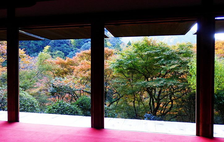 高山寺からの紅葉