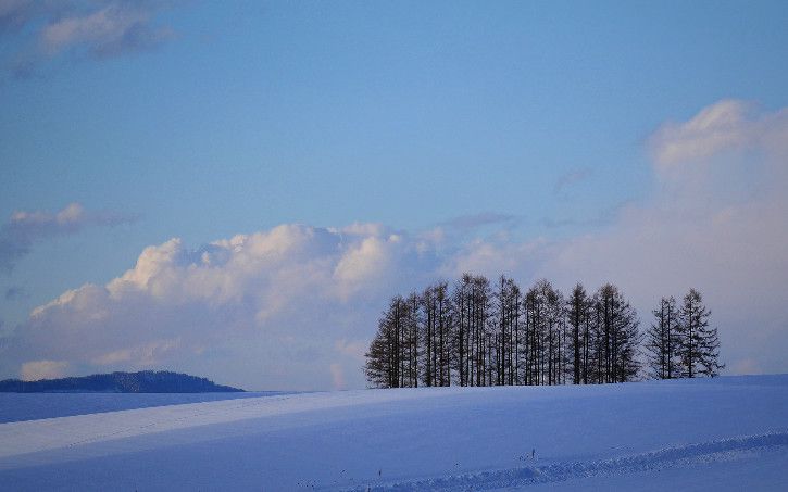 美しい雪の北海道の景色